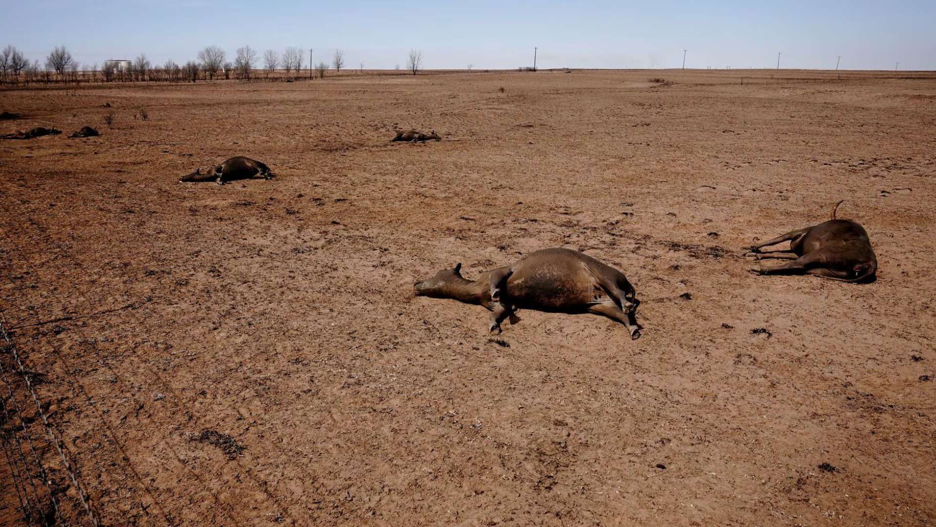 texas panhandle wildfire